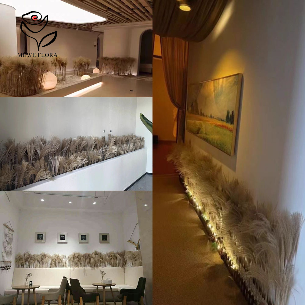200 STKS Natuurlijke Gedroogde - Interior Design Apartment recensie en prijs