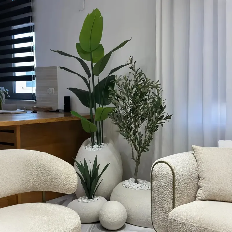 Creëer uw oase: een verbluffen - Interior Design Your Home recensie en prijs